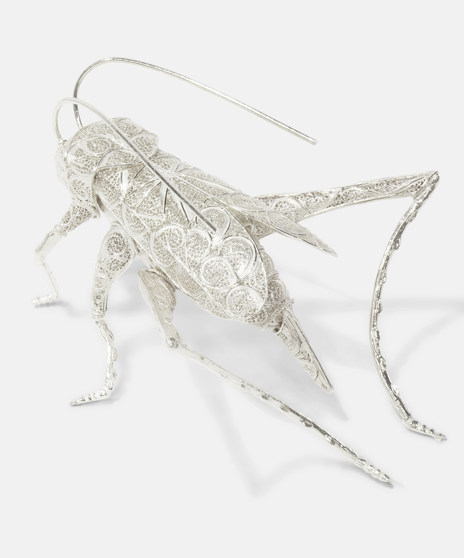 cricket