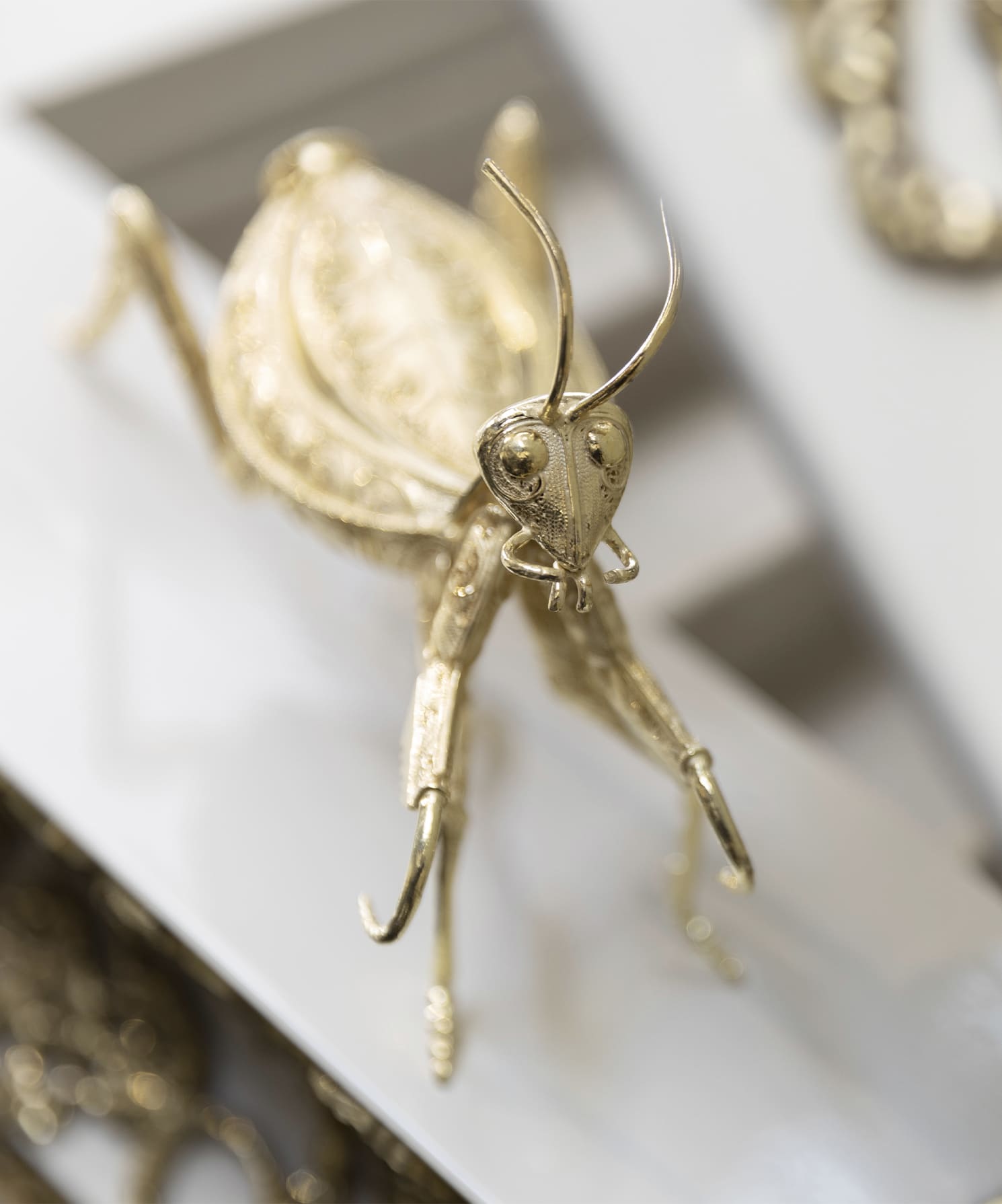 PRAYING MANTIS