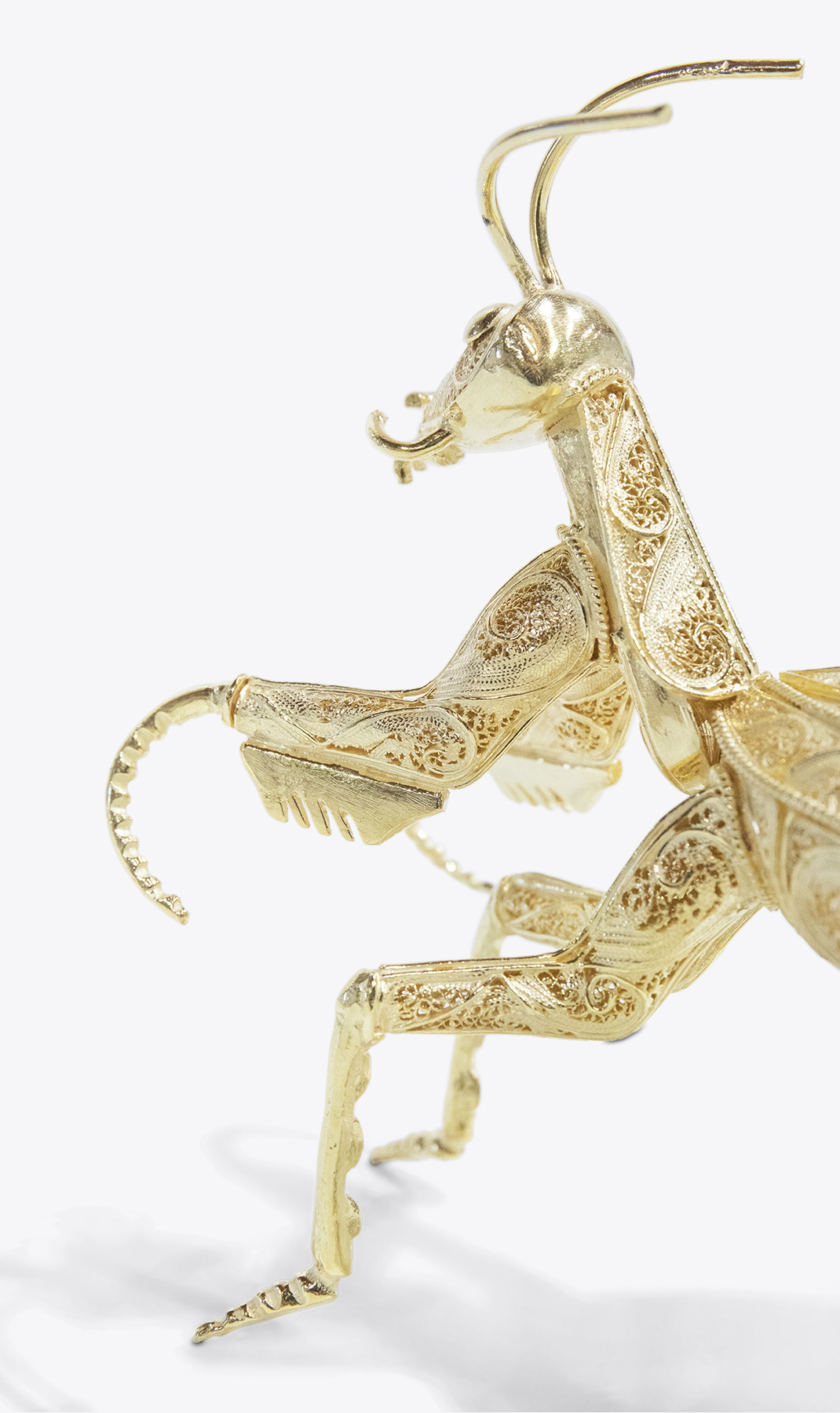 PRAYING MANTIS GOLD