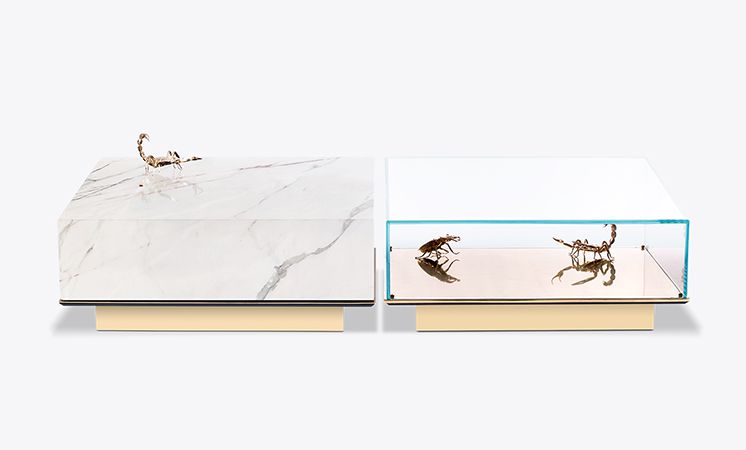 Metamorphosis White Luxury Center Table