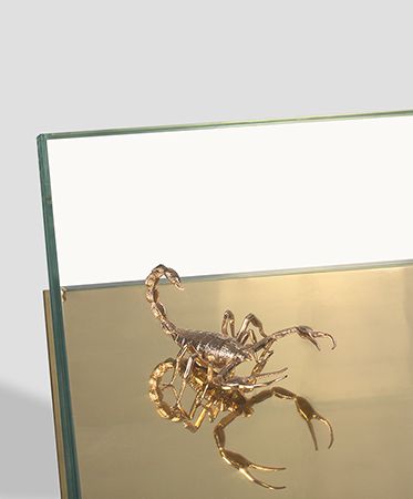Metamorphosis White Luxury Center Table