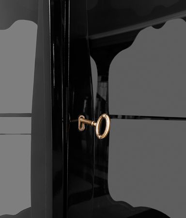Palatino Contemporary Display Case